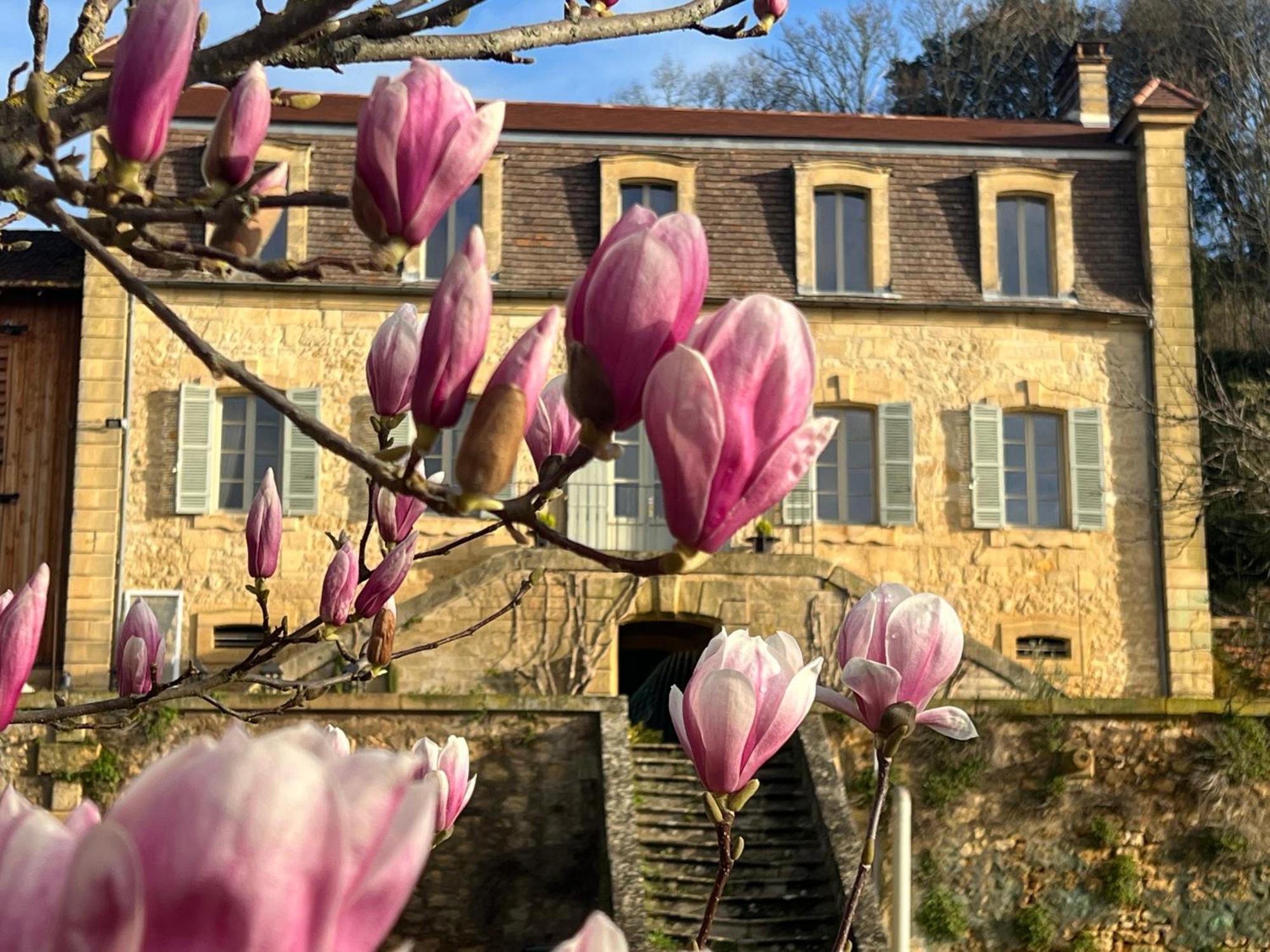 Le Clos De L'Ane Dentelle Везак Экстерьер фото